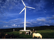 Large wind turbines