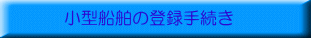 ���^�D���̓o�^�葱��