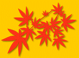 momiji