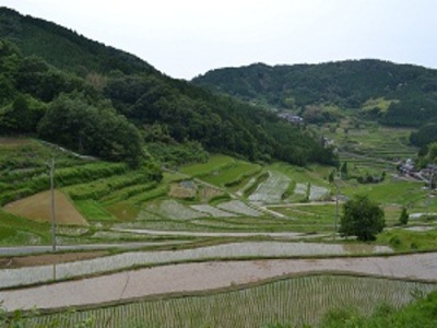 地域の魅力紹介 Rice Terraces 棚田の魅力 神戸運輸監理部