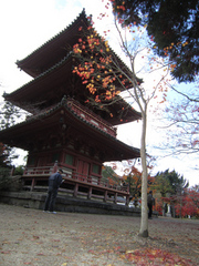 太山寺「三重の塔」