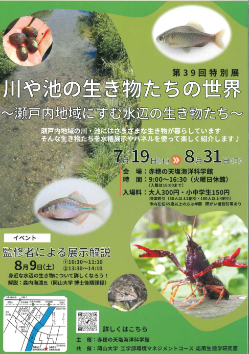 チラシ