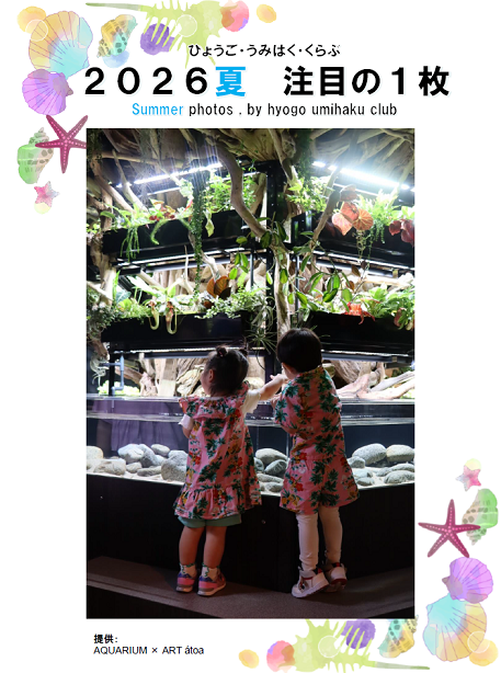 2025夏注目の一枚