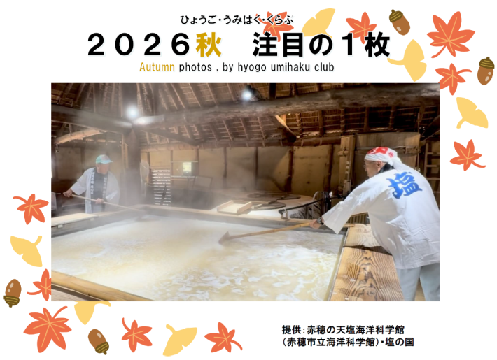 2026秋注目の一枚